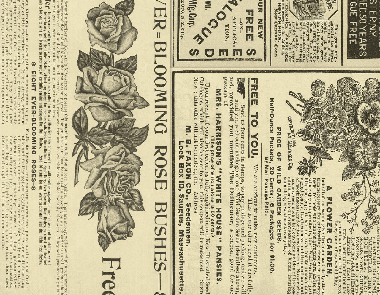 American Crafts BoBunny A2 Cards W/Envelopes (4.375"X5.75") 40/Box - Botanical Journal