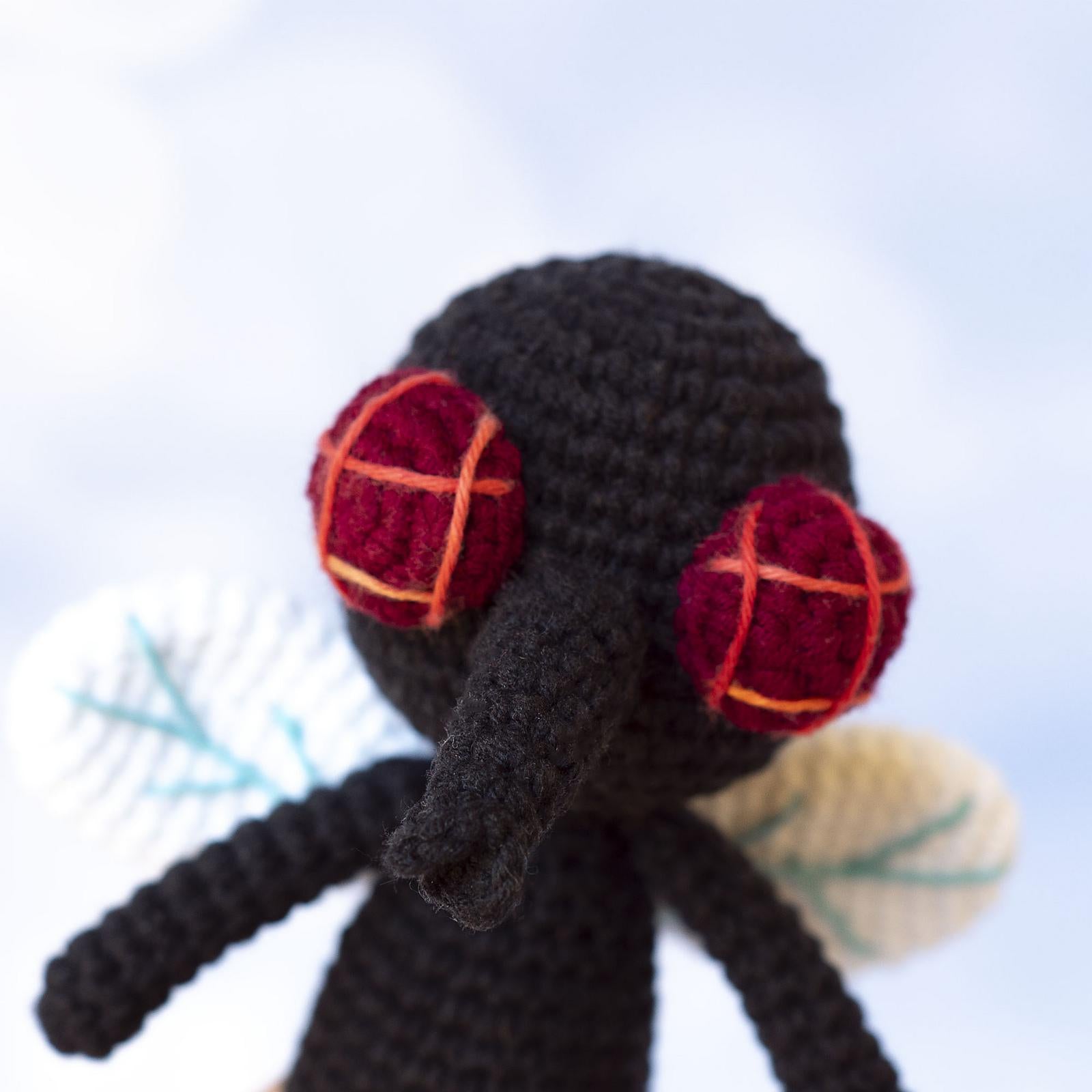 Fly Boy