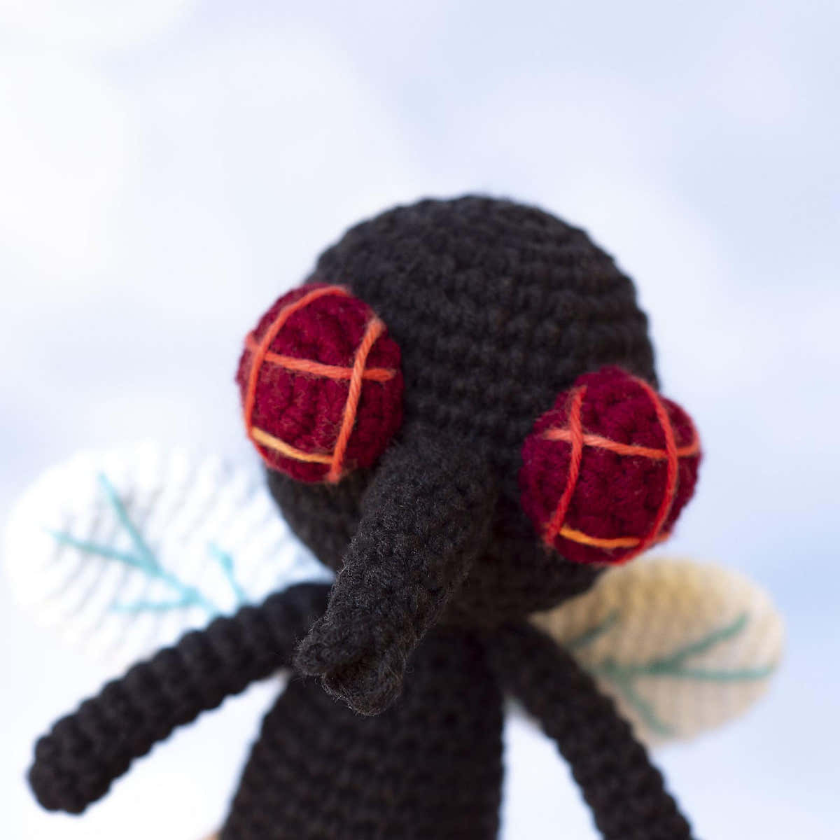 Fly Boy