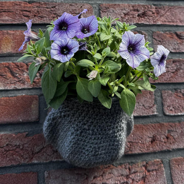 Wall Basket Flower