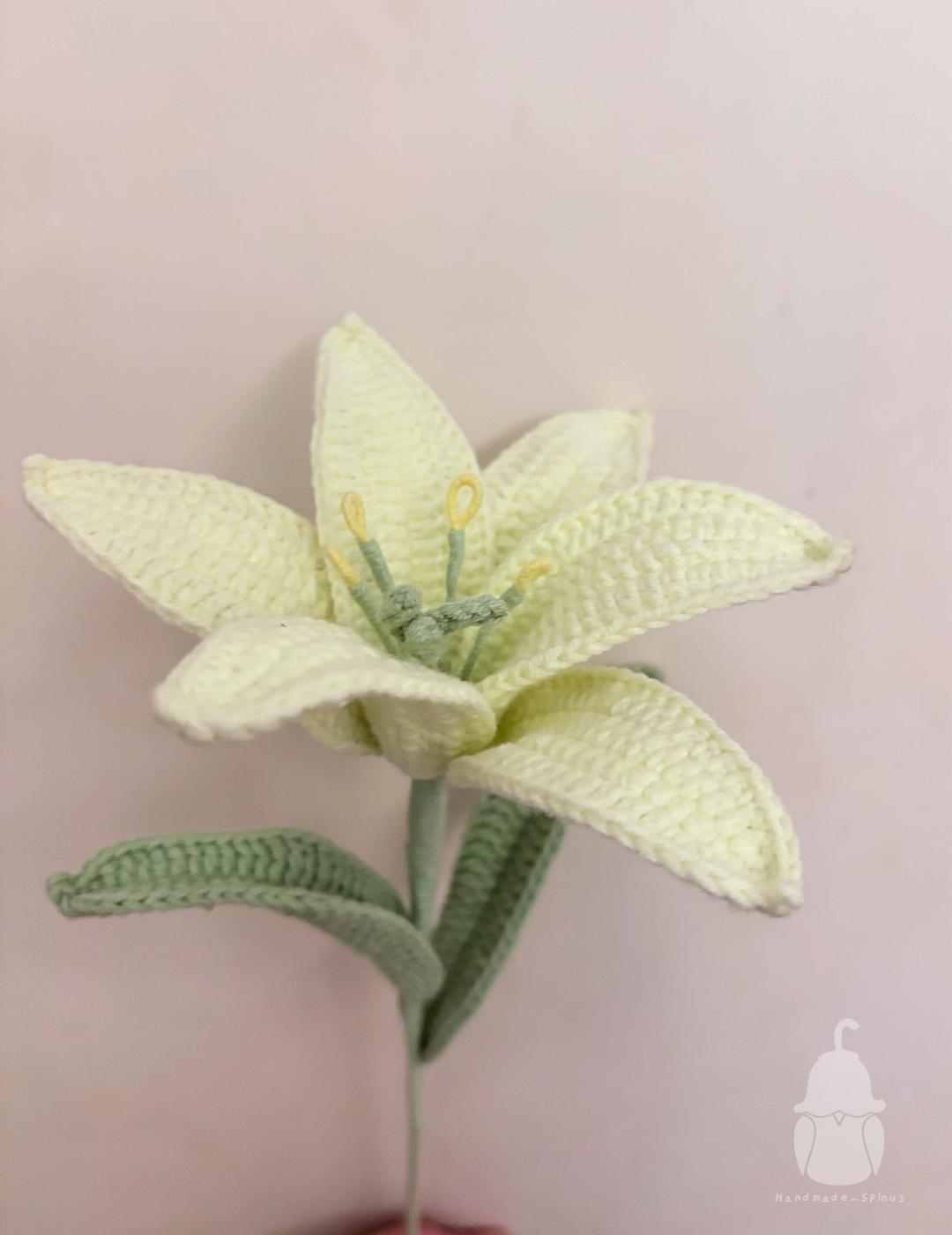 Lily