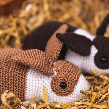 Dutch Bunnies