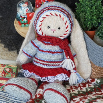 Christmas Outfit for Toys