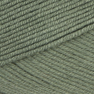 Khaki  (015)
