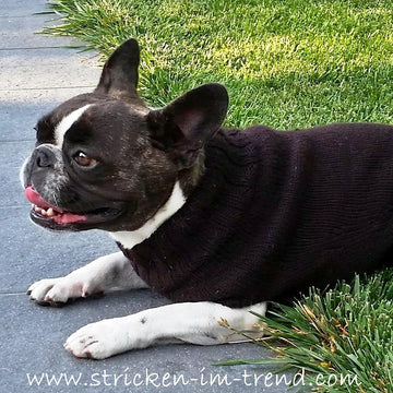 Knitting Pattern Dog Sweater LILO | French Bulldog Jumper | Pet Knitwear PDF