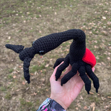Giraffe Weevil