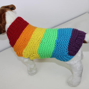 Chunky Spectrum Dog Coat