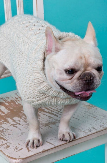 Cabled Dog Sweater in Red Heart Super Saver Economy Solids - LW3192