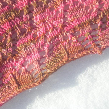 Fuchsia Bloom Shawlette