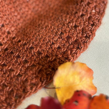 Wild Winter Shawl