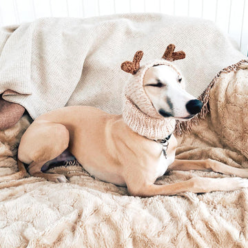 Doggo no 7 snood