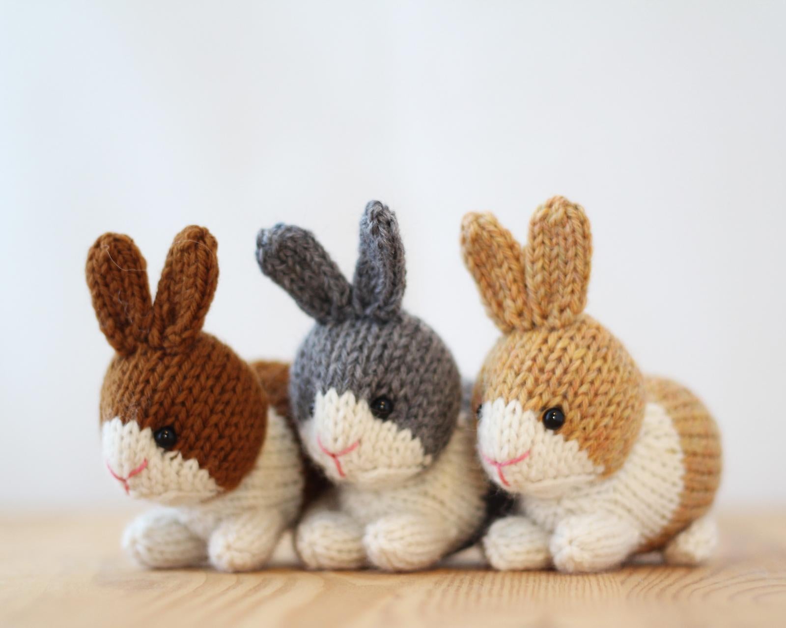 Dutch Rabbits
