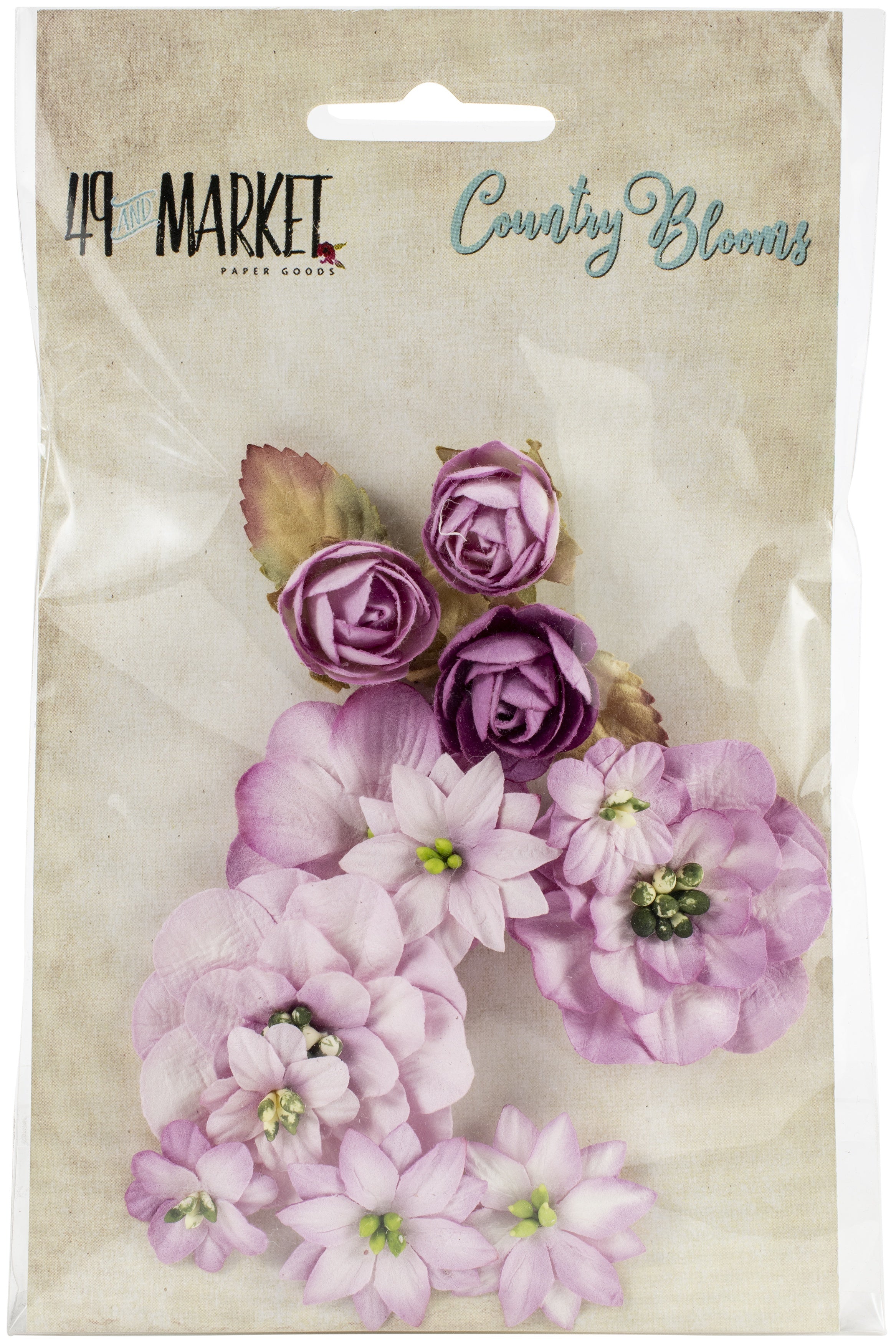 49 And Market Country Blooms 12/Pkg - Punch