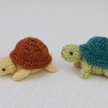 Turtle Family