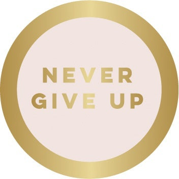 Teresa Collins Designer Enamel Pin - Never Give Up