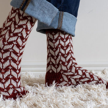 Trailblaze Socks