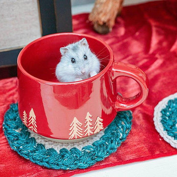 Wreath Ornament and Coaster