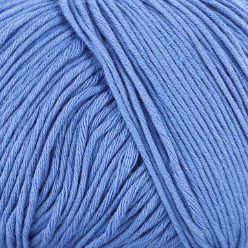 Blue Jay (35)