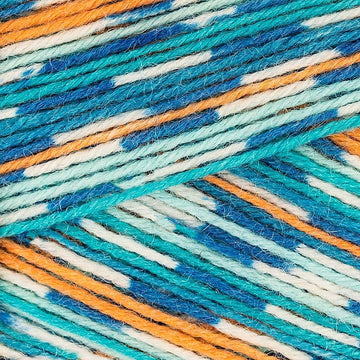Kingfisher (844)