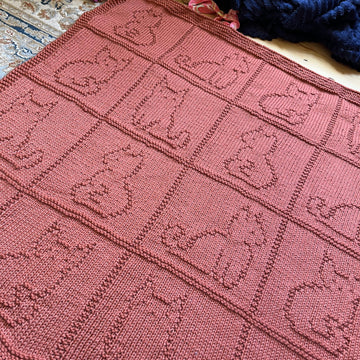 Cat Blanket