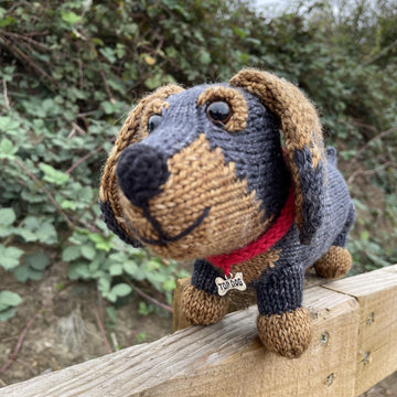 Tilly Sausage Dog