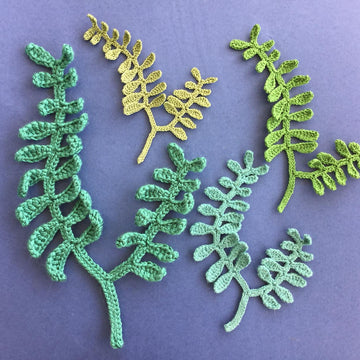Seaweed