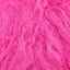 Shameless Pink