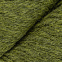 Turtle (2452)