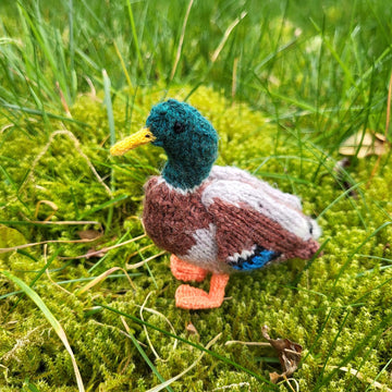 A Plump of Ducks
