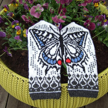 Swallowtail