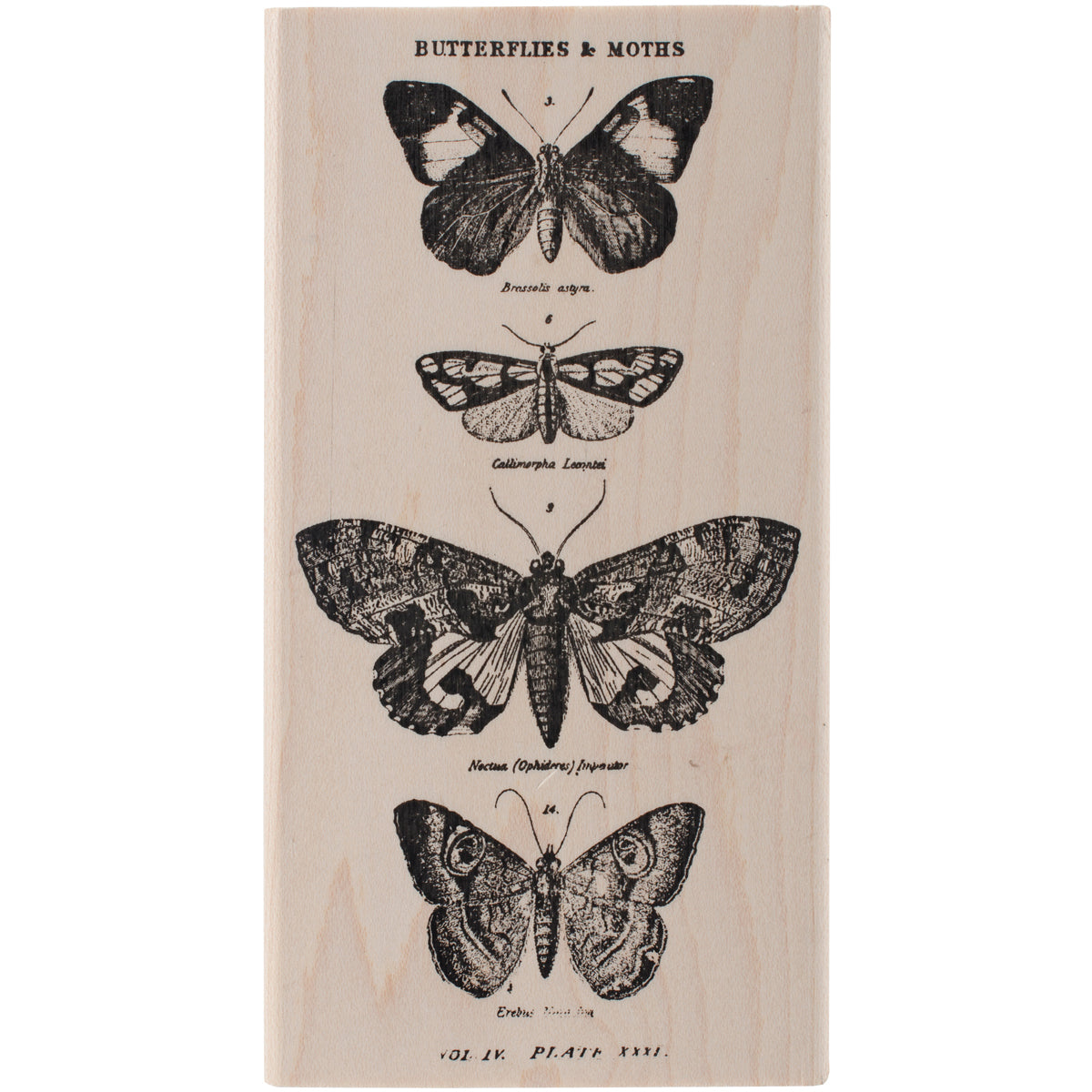 Stampers Anonymous Tim Holtz Mounted Red Rubber Stamp 2.5"X5" - Butterflies & Moths 1