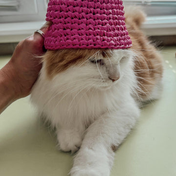 Pets bucket hat