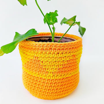 Plant Pot Covers Fall