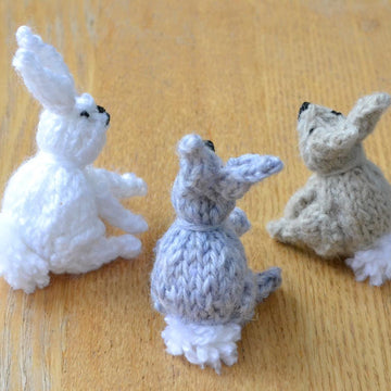 Easter Bunny Rabbit