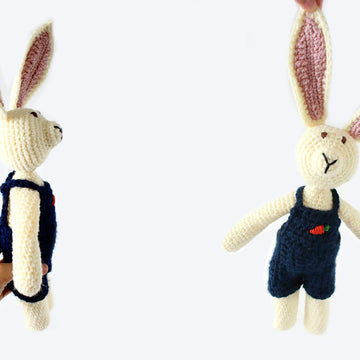 Jackson Rabbit