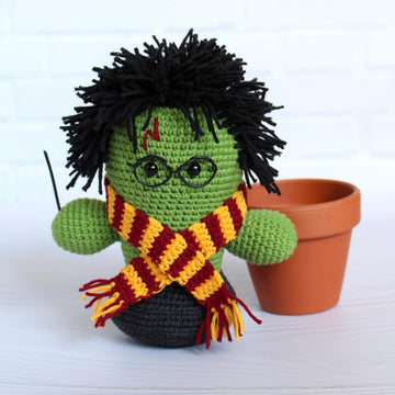Cactus wizard Harry, plant, succulent