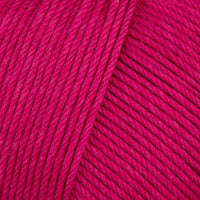 Raspberry (755)