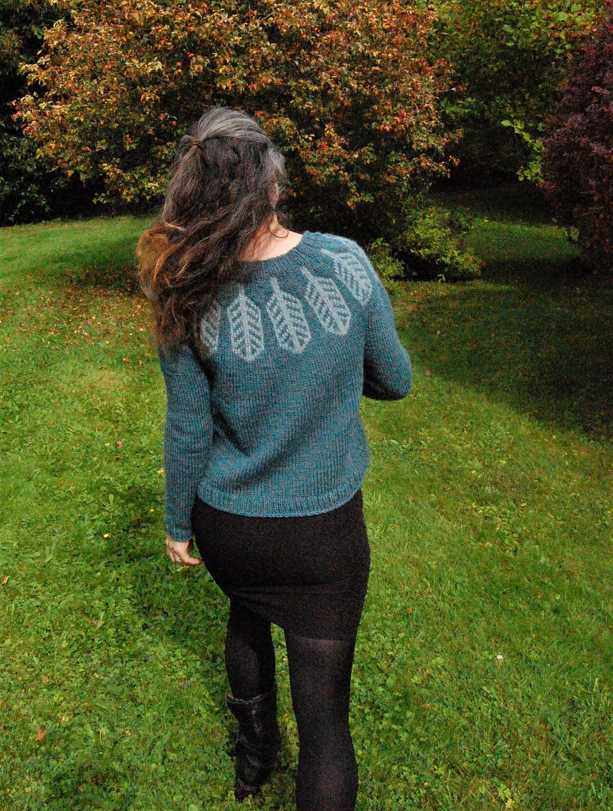Flight Feathers