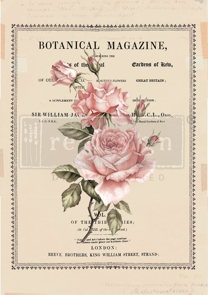 Prima Marketing Prima Re-Design Decor Transfer - Beautiful Botanist 24"X34"