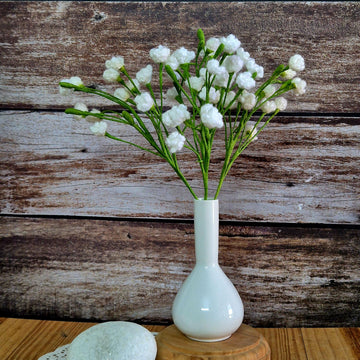 Baby's breath gypsophila