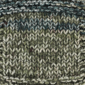 Plymouth Yarn Encore Chunky Colorspun