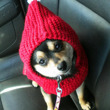 Holiday Hoodie Sweater for Dogs