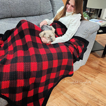 C2C Crochet Buffalo Plaid Blanket