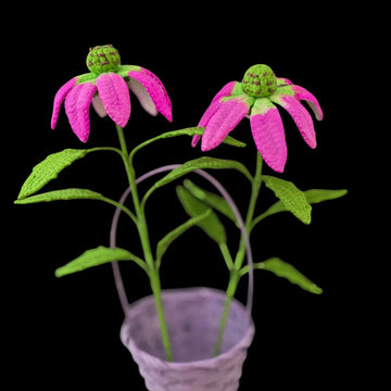Crochet Echinacea/Cone flowers