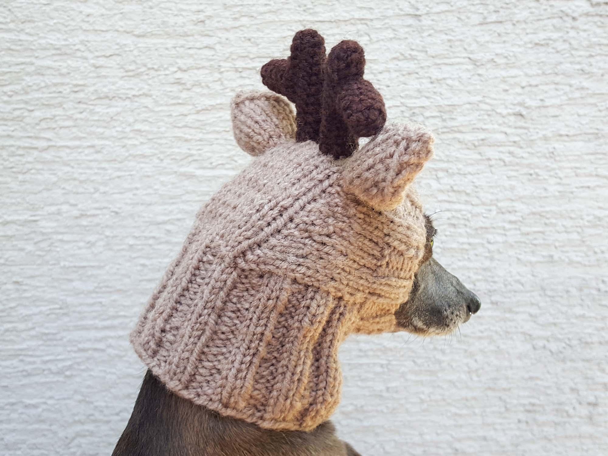 Reindeer Dog Hat