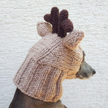 Reindeer Dog Hat