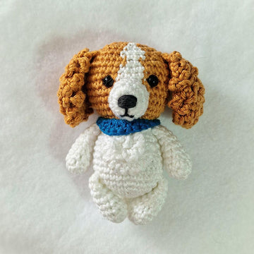 Cavalier Spaniel Dog