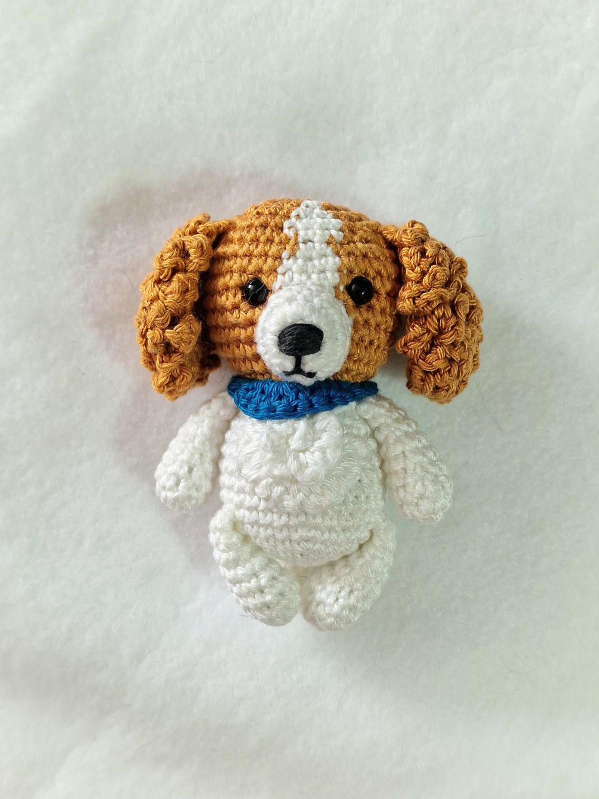 Cavalier Spaniel Dog