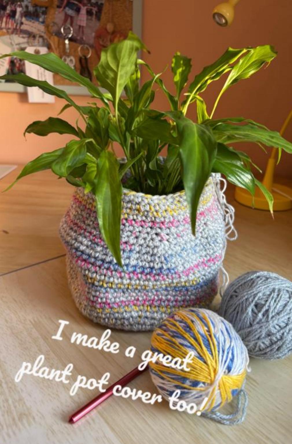 Combined Gift Basket & Plant Pot Cover