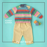 Poppet Jumper - Free Sweater Knitting Pattern For Babies in Paintbox Yarns Baby DK Prints by Paintbox Yarns